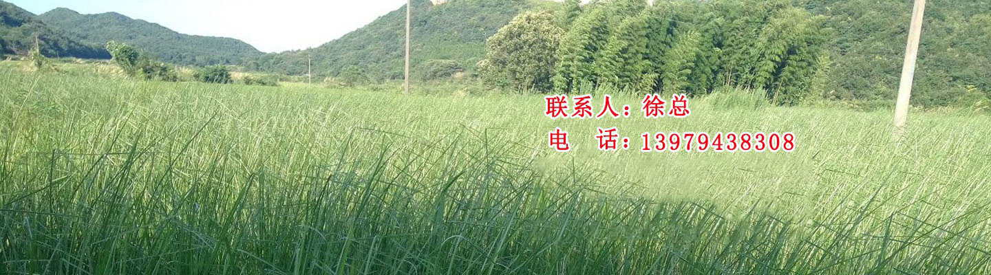 20ꌣ(zhun)עo(w)Sݔ͙C(j)